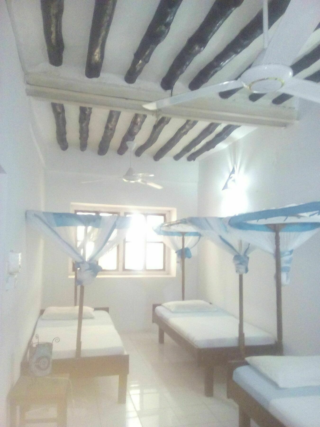 Kiponda B&B Zanzibár Kültér fotó